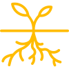 SEO Technology Roots Icon